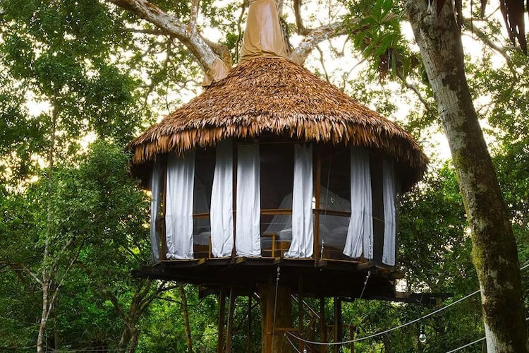 Treehouse Lodge's Serena Cabin - Exterior.