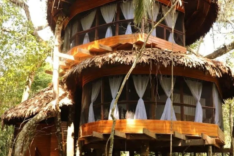 Treehouse Lodge's Swiss Robinson Cabin - Exterior.
