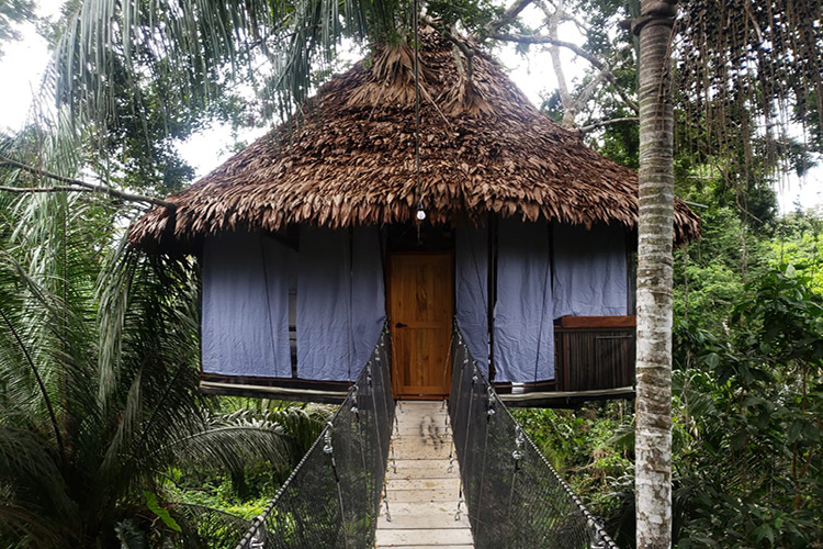 Treehouse Lodge's Soledad Cabin - Exterior.