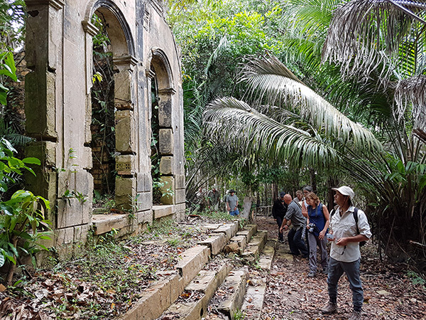 Lo Peix 3-Day Cruise Itinerary Day Two - Exploring the jungle.