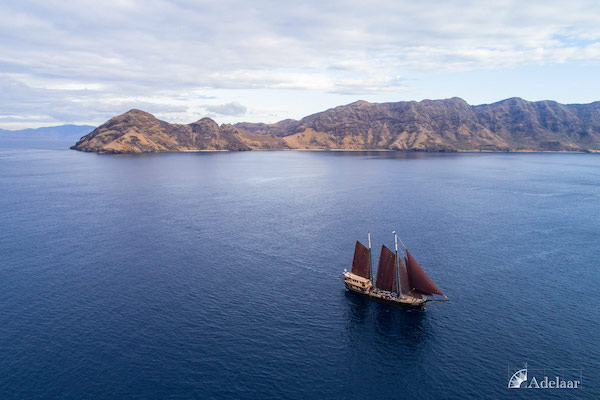 Adelaar's 11-Day Signature Bali Komodo Bali - Day Eleven - Sailing