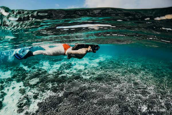 Adelaar's 12-Day Alor & The Forgotten Island: Saumlaki to Maumere - Day Two - Snorkeling