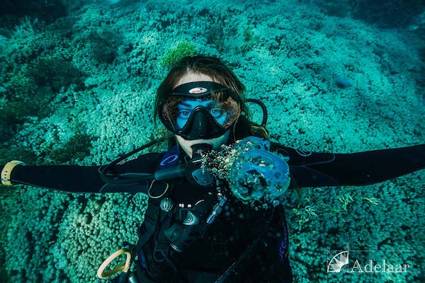 Adelaar's 12-Day Alor & The Forgotten Island: Saumlaki to Maumere - Day Ten - Diving