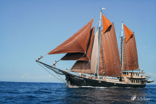 Adelaar's 12-Day Alor & The Forgotten Island: Maumere to Saumlaki - Day Five - Boat Side View