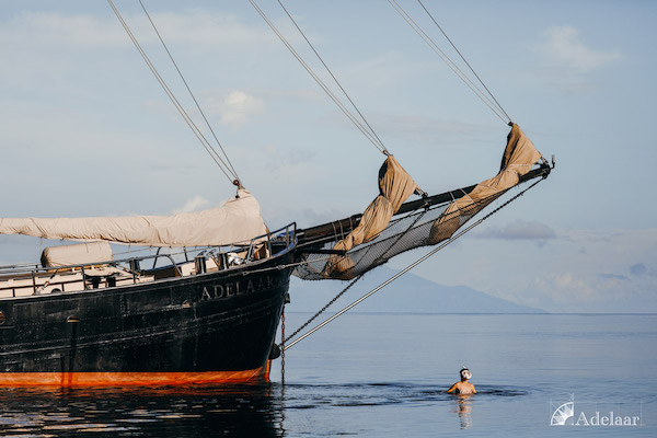 Adelaar's 12-Day Banda Sea: Ambon to Saumlaki - Day Seven - Snorkeling