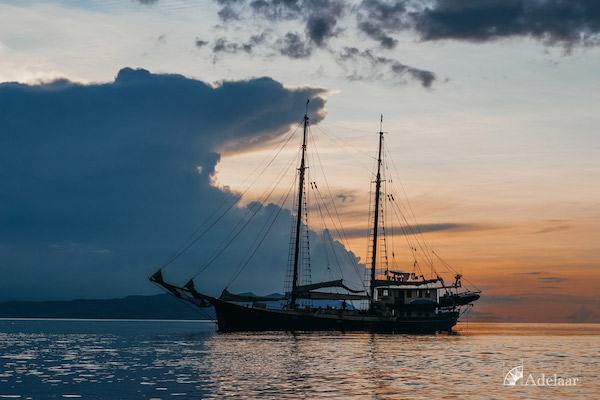 Adelaar's 12-Day Banda Sea: Ambon to Saumlaki - Day Twelve - Sunset