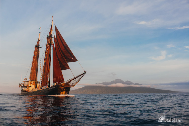 Adelaar's 12-Day Banda Sea: Saumlaki to Ambon - Day Two - Sailing