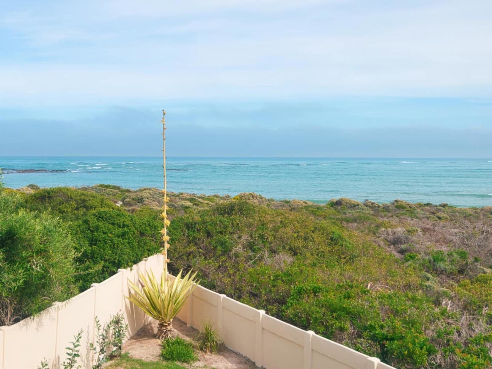 Coastal fynbos rolling from Gans-te-Ver's wall down to the sea at Suiderstrand — unbroken nature reserve between the house and the waterline.