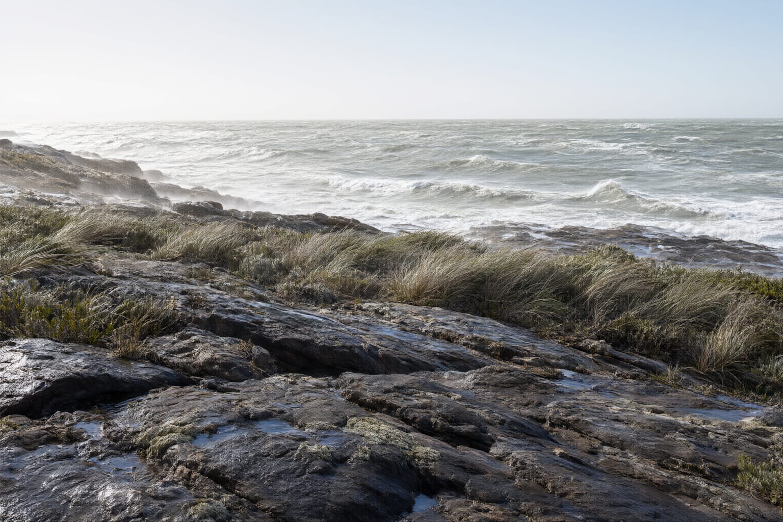 A southeaster blowing hard over a rocky southern Cape shore — white-capped sea, spray lifting off the rocks and dune grass bent flat under a bright, hazy sky — illustrative of the wind that decides where you work on this coast.