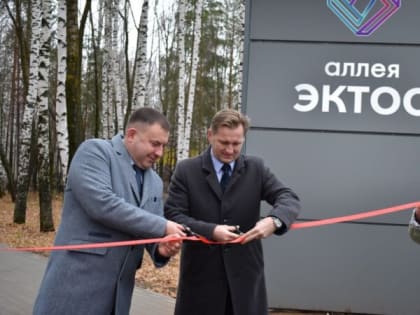 Обновление аллеи «ЭКТОС» в парке отдыха у реки Камой