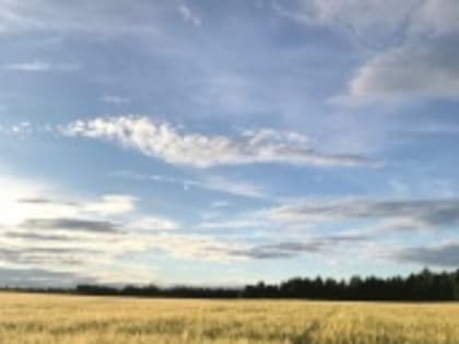 Сельскохозяйственные достижения и планы на будущее