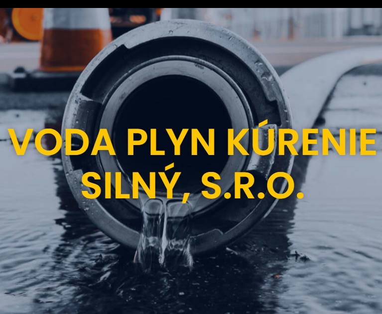 Poruchová Služba Silný