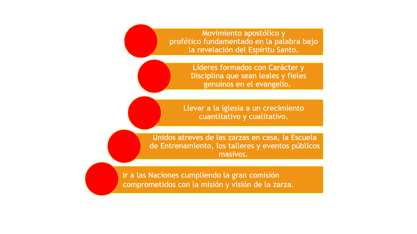 Objetivo General - LZAIG