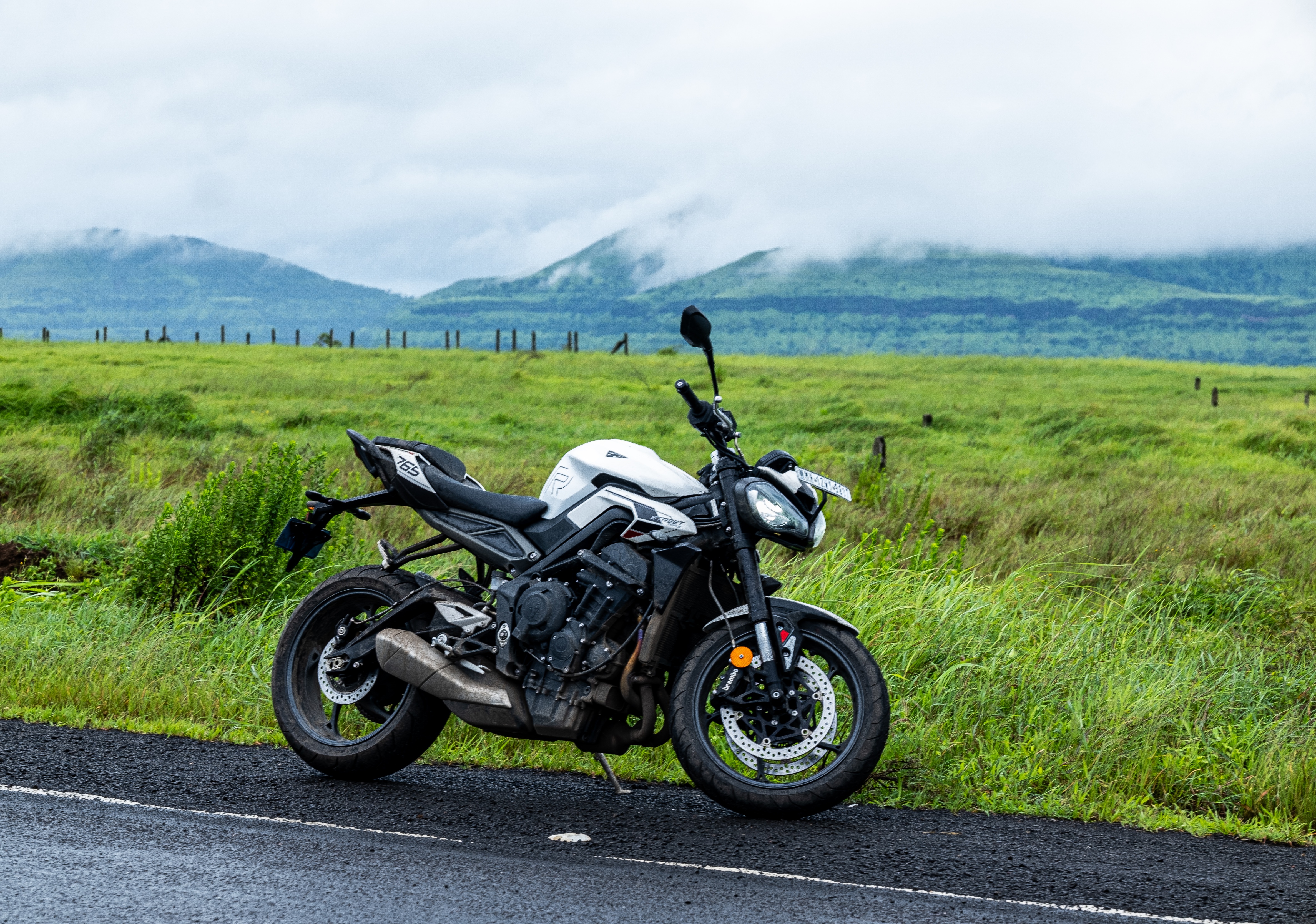 Kaas Plateau, peak monsoon