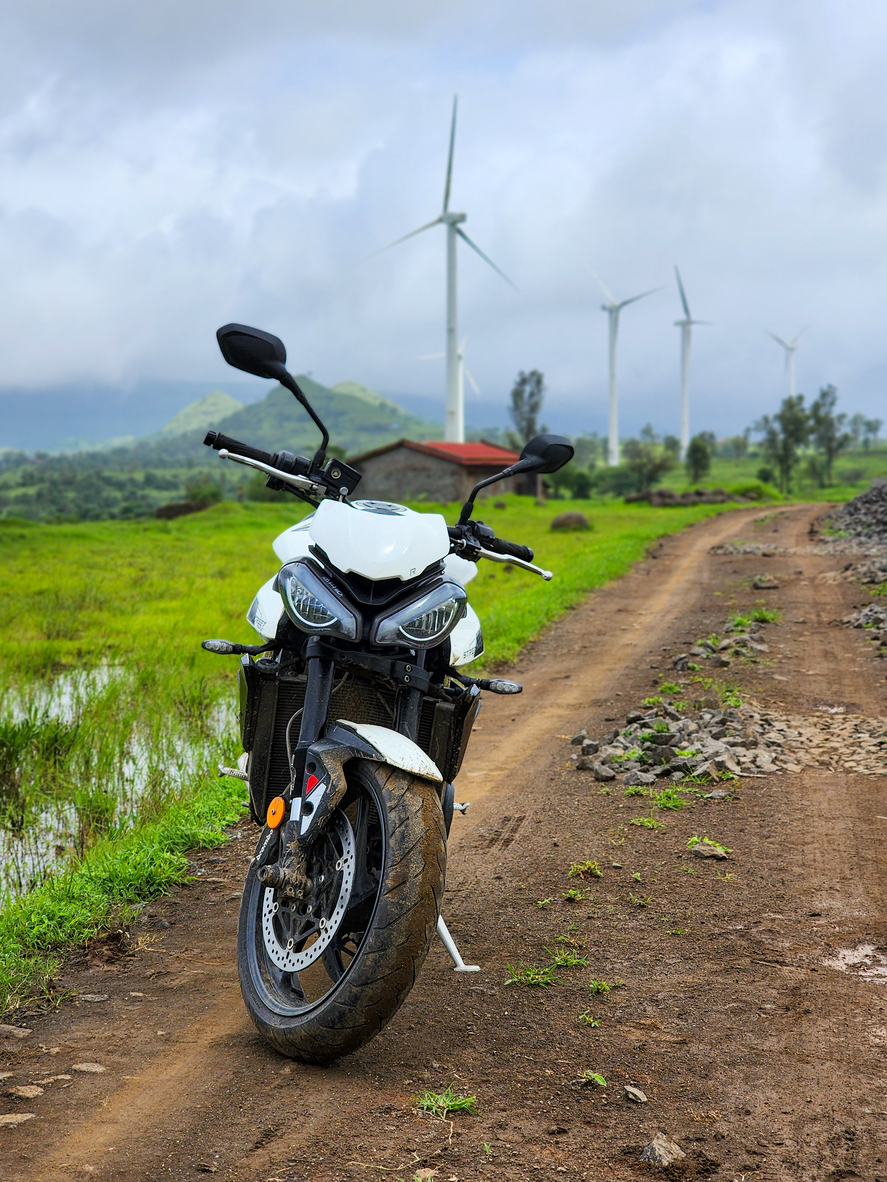 Windmill farm