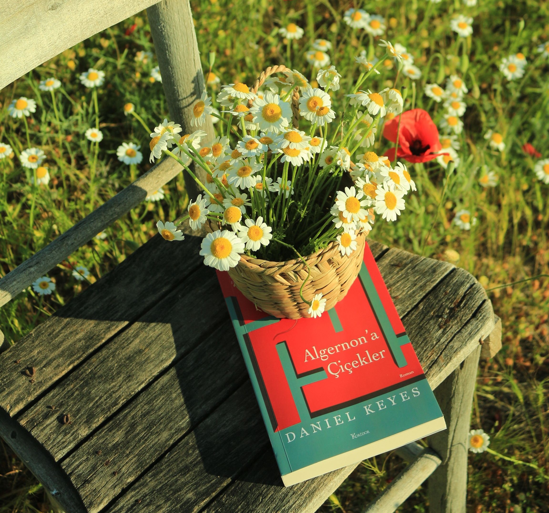 Flowers for Algernon — Daniel Keyes