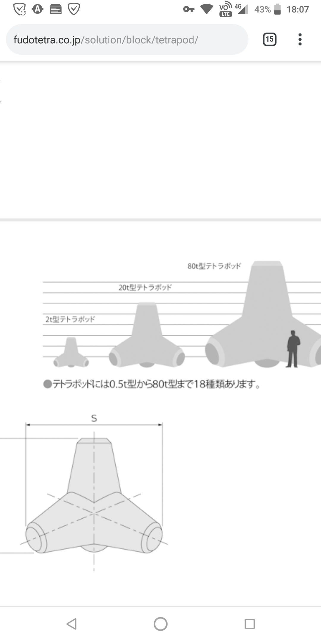 テトラポッドの隙間に落ちて死亡 つれいわ テトラポッドの隙間に落ちて死亡 つれいわ