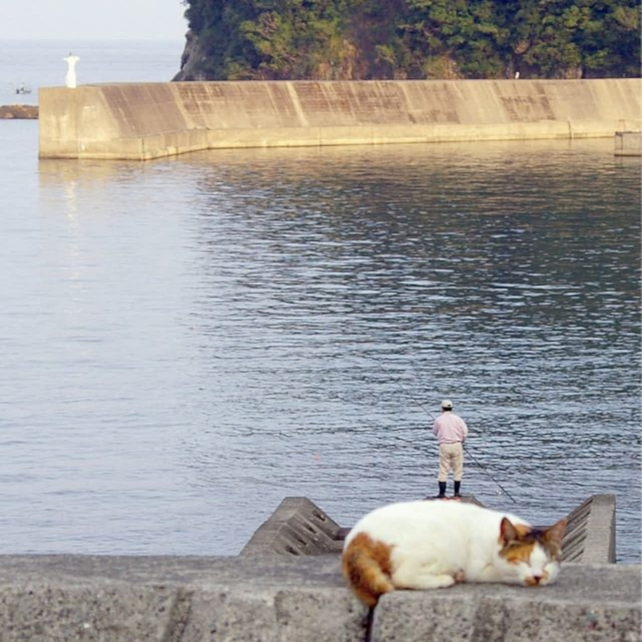 猫の上に乗っている釣り人の小さいおじさん