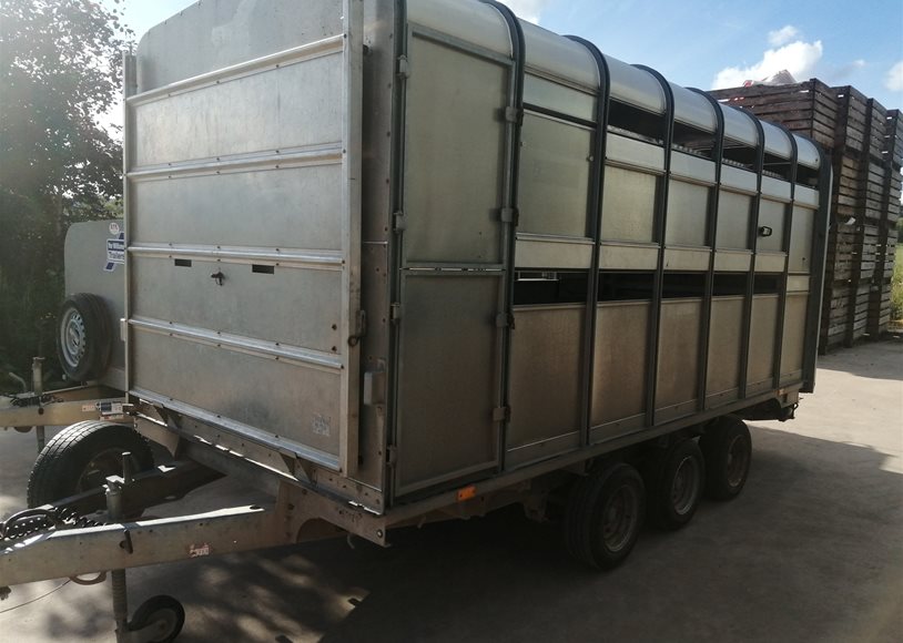 Ifor Williams DP120 14' Trailer - Image 3