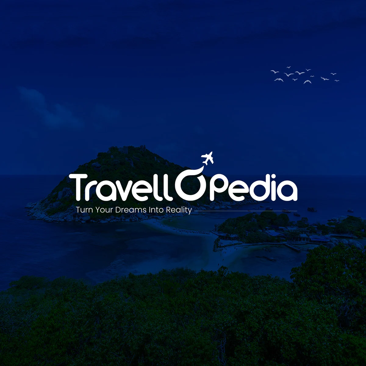 Design Showcase - Travel Agency Logo Design