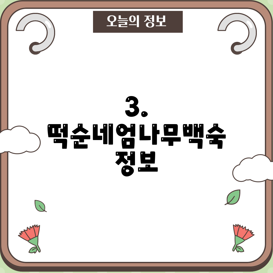 3. 떡순네엄나무백숙 정보