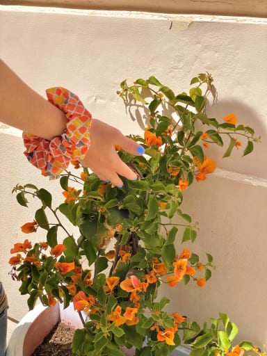 Accesorio Blaubell Orange Shapes 1