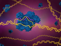Genetic Science-a bung thar: CRISPR Cas9