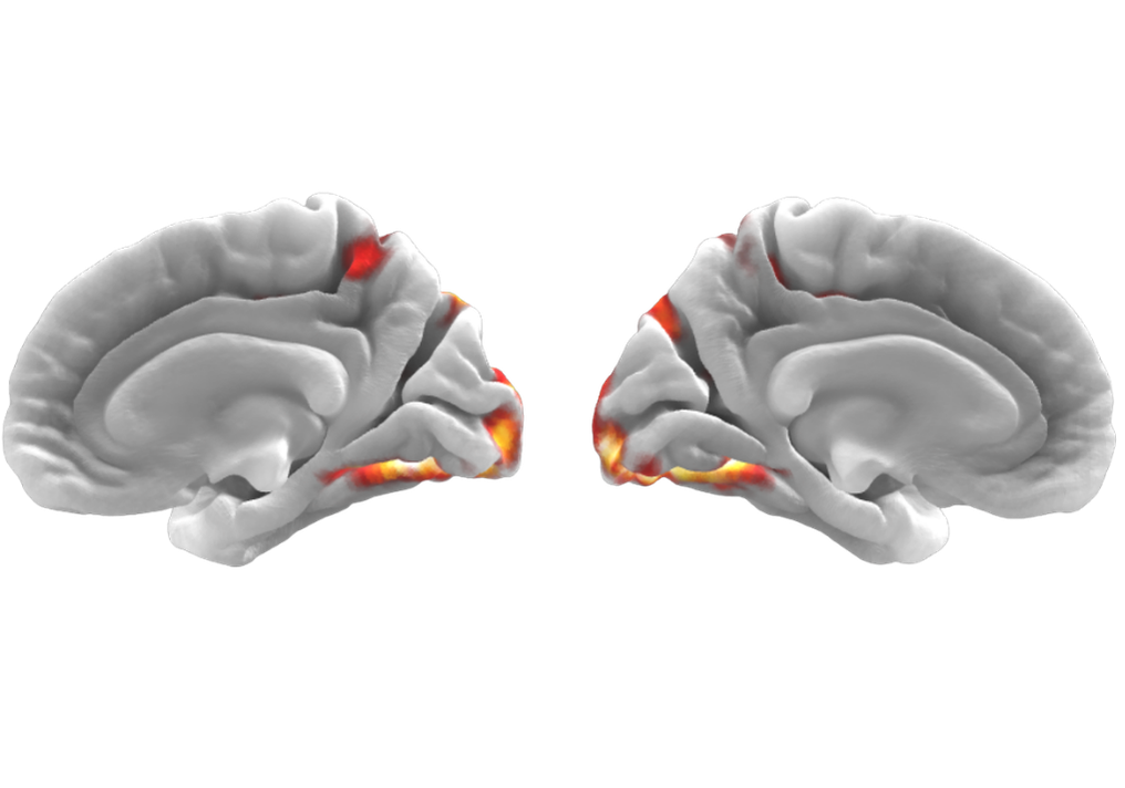Multi-stage prediction model - audio, video, text encoding