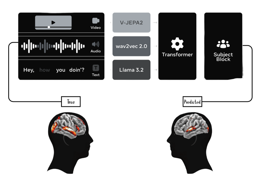 Brain-mapping output to fMRI-style performance signals