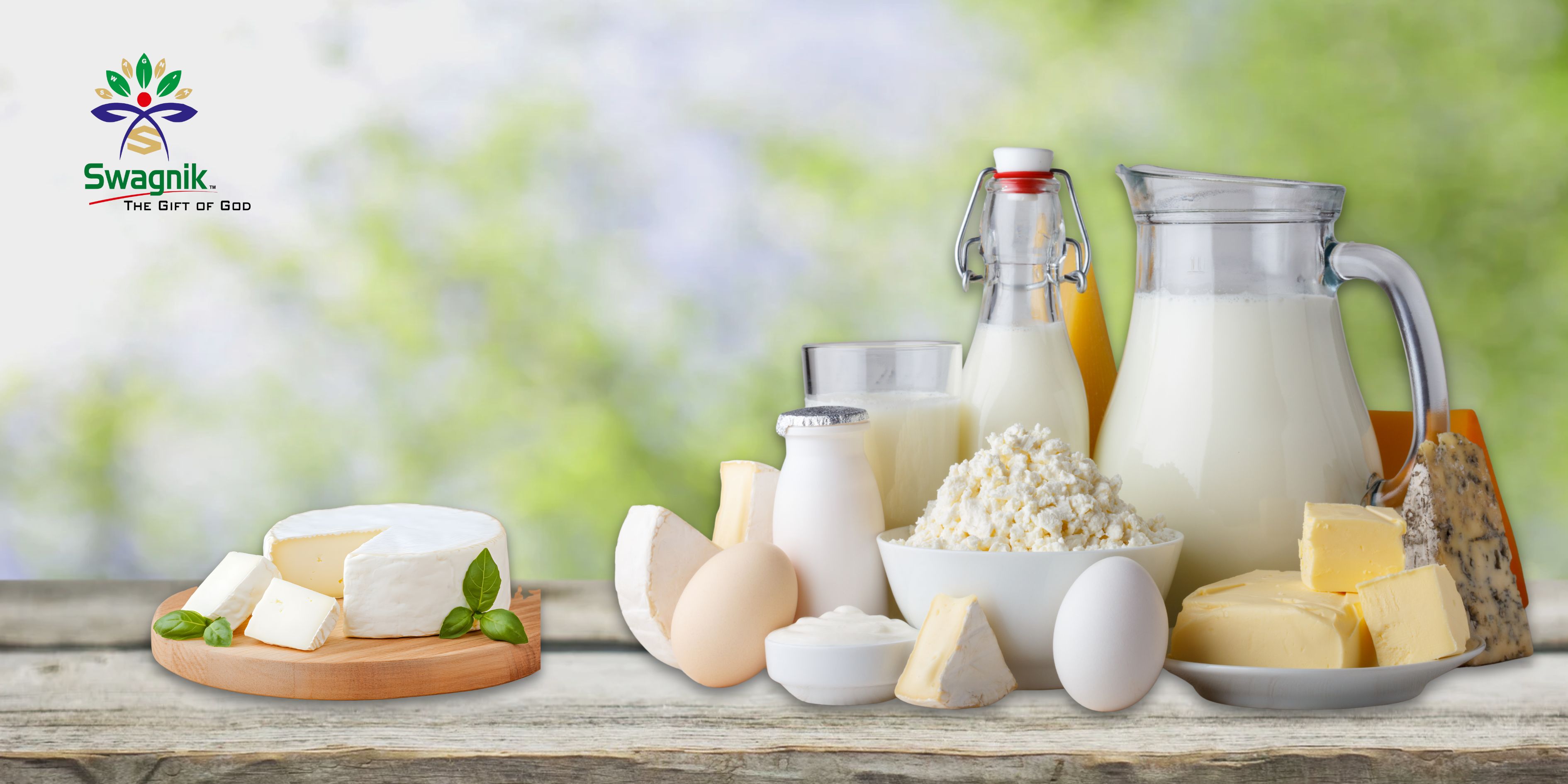 Healthy Living Essentials