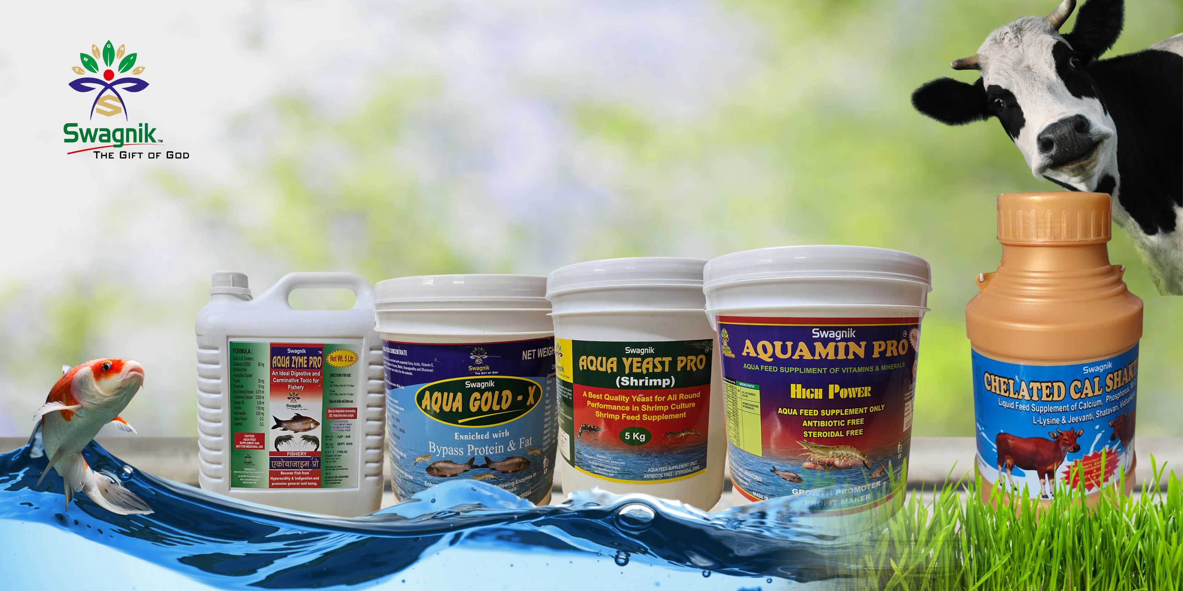 Healthy Living Essentials