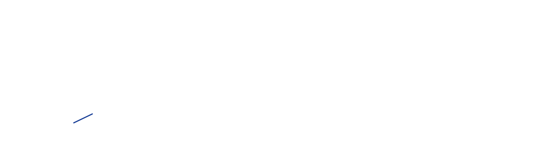 SkilliZee Logo