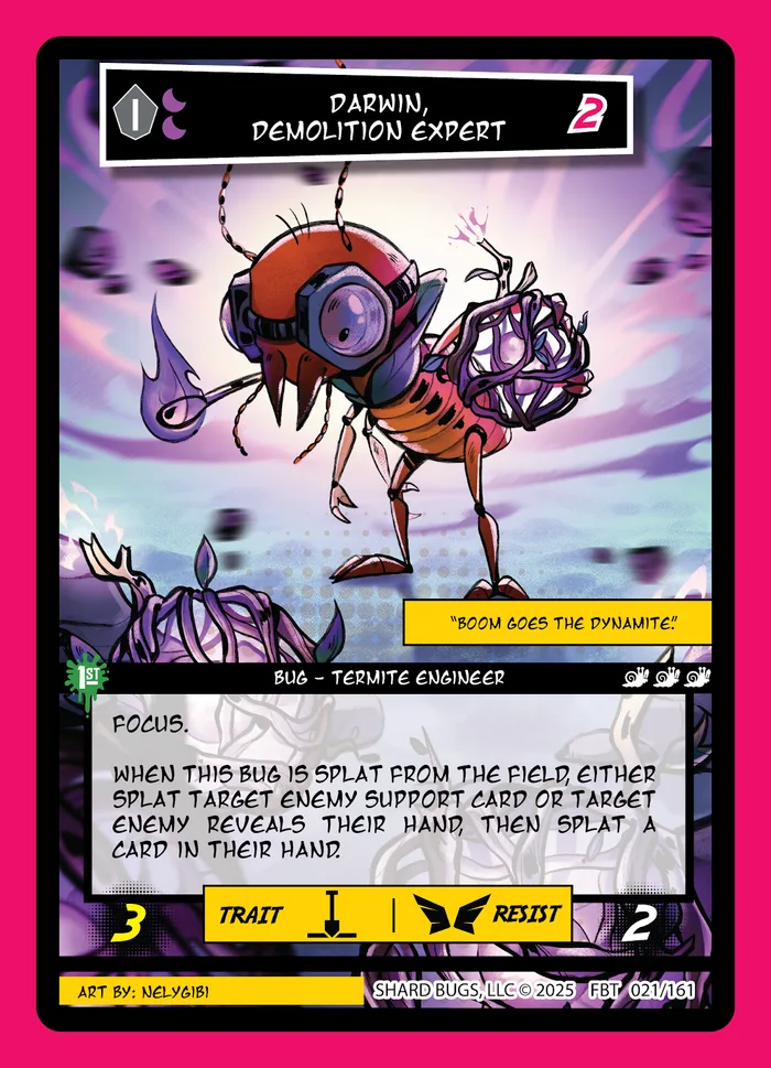 Darwin Demolition Expert