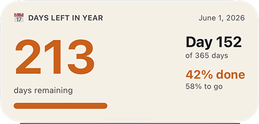 Days Left in Year preview