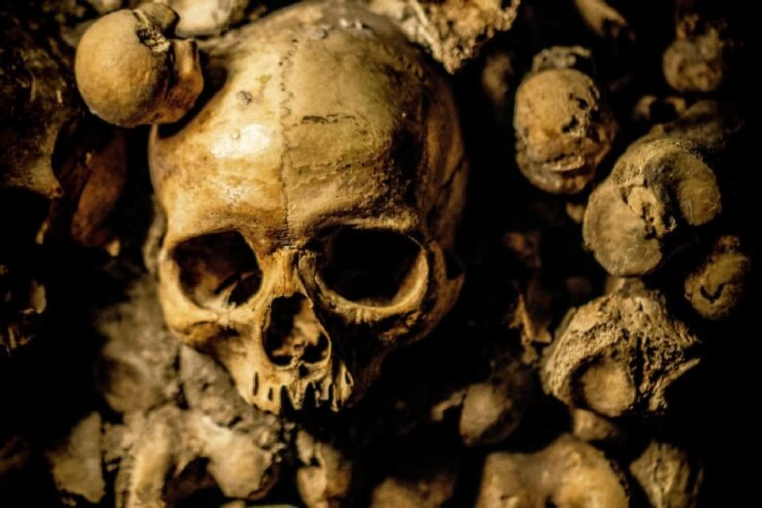 Estudio revela cómo el cráneo humano cambió en un siglo por la dieta