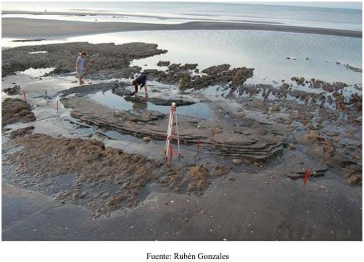 Monte Hermoso y Ventania, escenarios de un patrimonio arqueológico único en Argentina