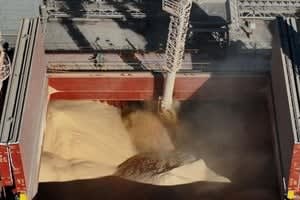 Argentina relegada: Estados Unidos y Brasil superan su molienda de soja