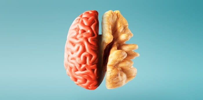 El segundo cerebro: cómo el intestino impacta en la salud mental