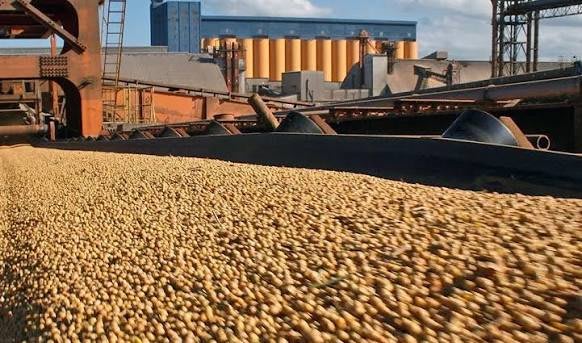 La Bolsa de Bahía Blanca proyecta siembra 2026/27 y el clima regional