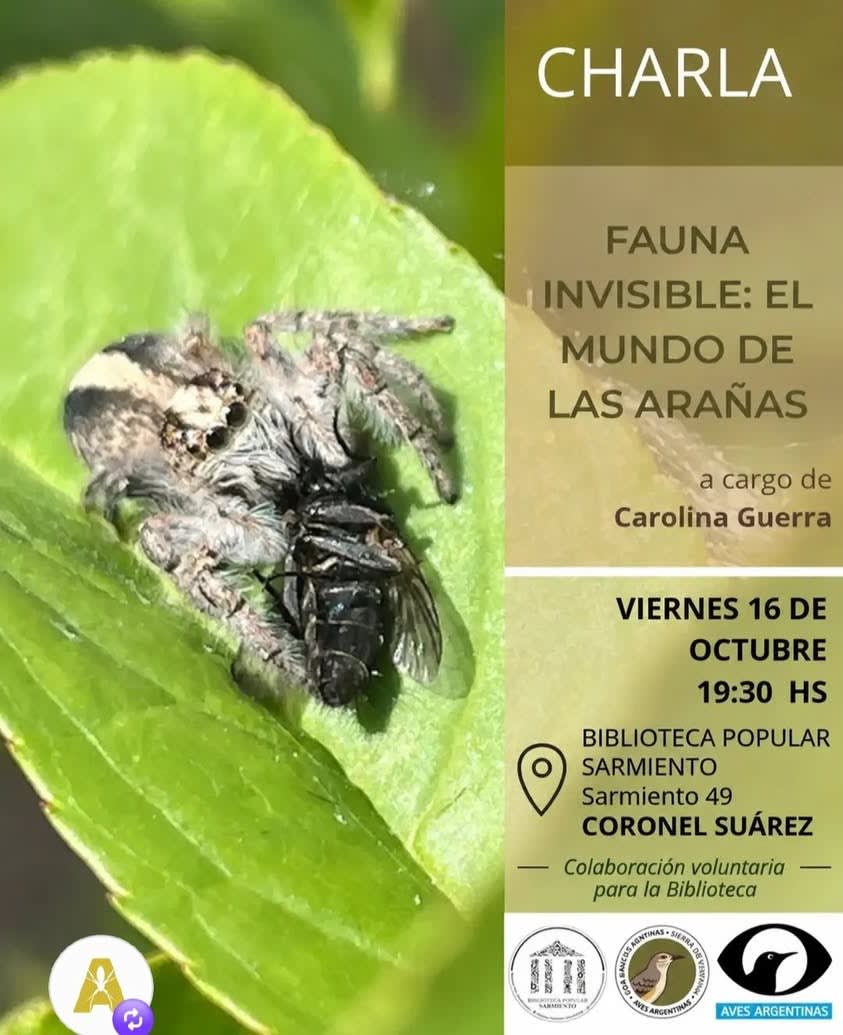 El COA Gaucho serrano y la Biblioteca Sarmiento organizan charla sobre arañas el 16 de octubre