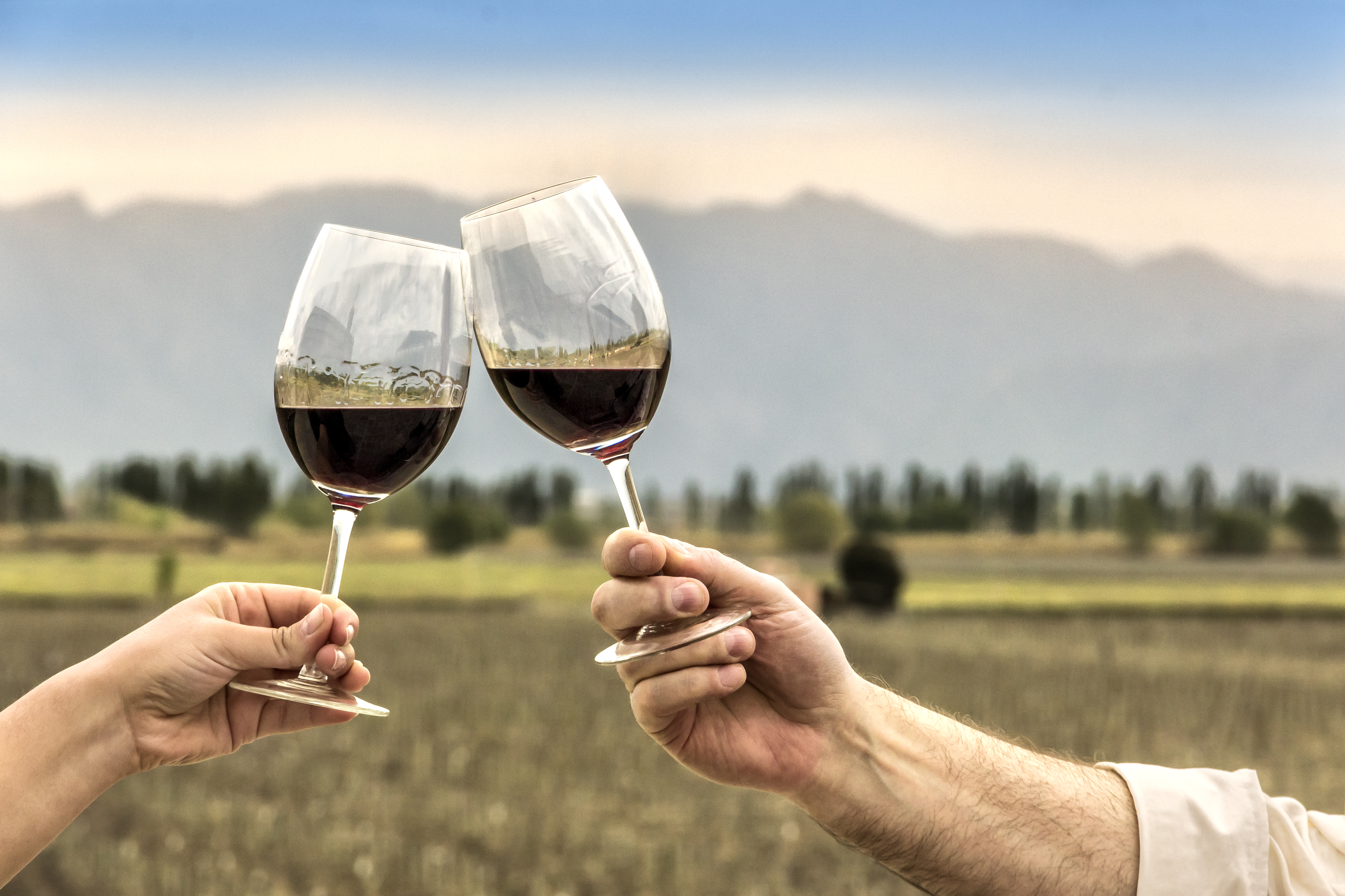 Día Mundial del Malbec: ¿por qué se celebra el 17 de abril?