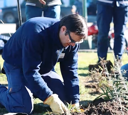 El Municipio lanzó una plataforma digital para el censo del arbolado urbano en el distrito