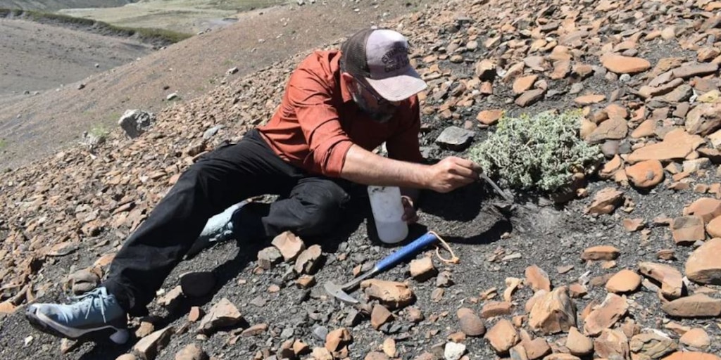 Descubrieron en Neuquén huellas de pterodáctilos de aproximadamente 100 millones de años