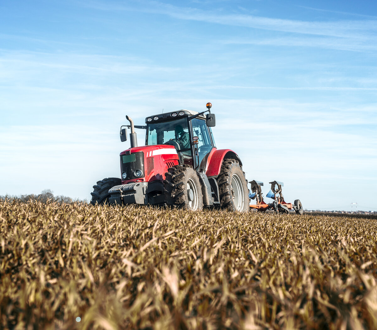 La columna de Daniel Abot: "El alimento dejó de ser una necesidad básica y pasó a ser un negocio para unos pocos"