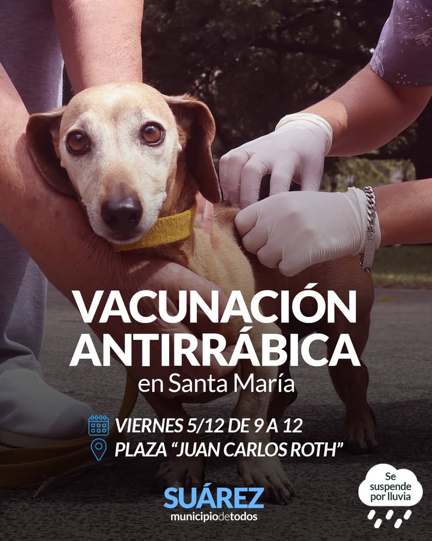 Vacunación antirrábica gratuita para perros y gatos en Pueblo Santa María