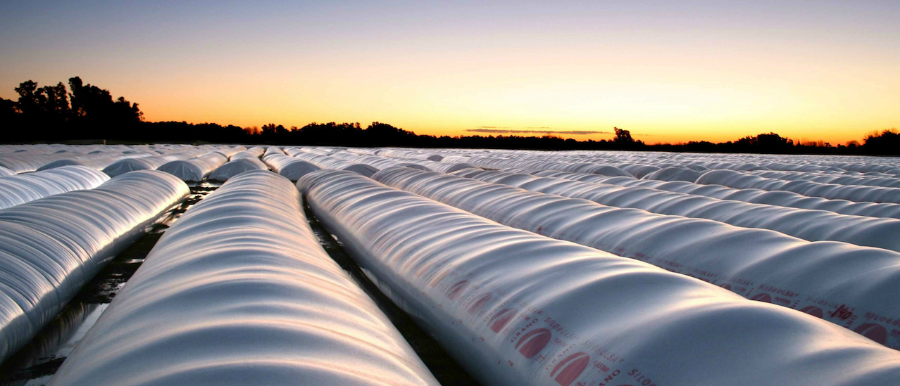 El campo impulsa ley para castigar el vandalismo rural
