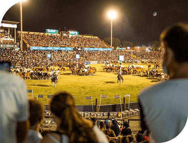 Jesús María 2026: la grilla completa del festival