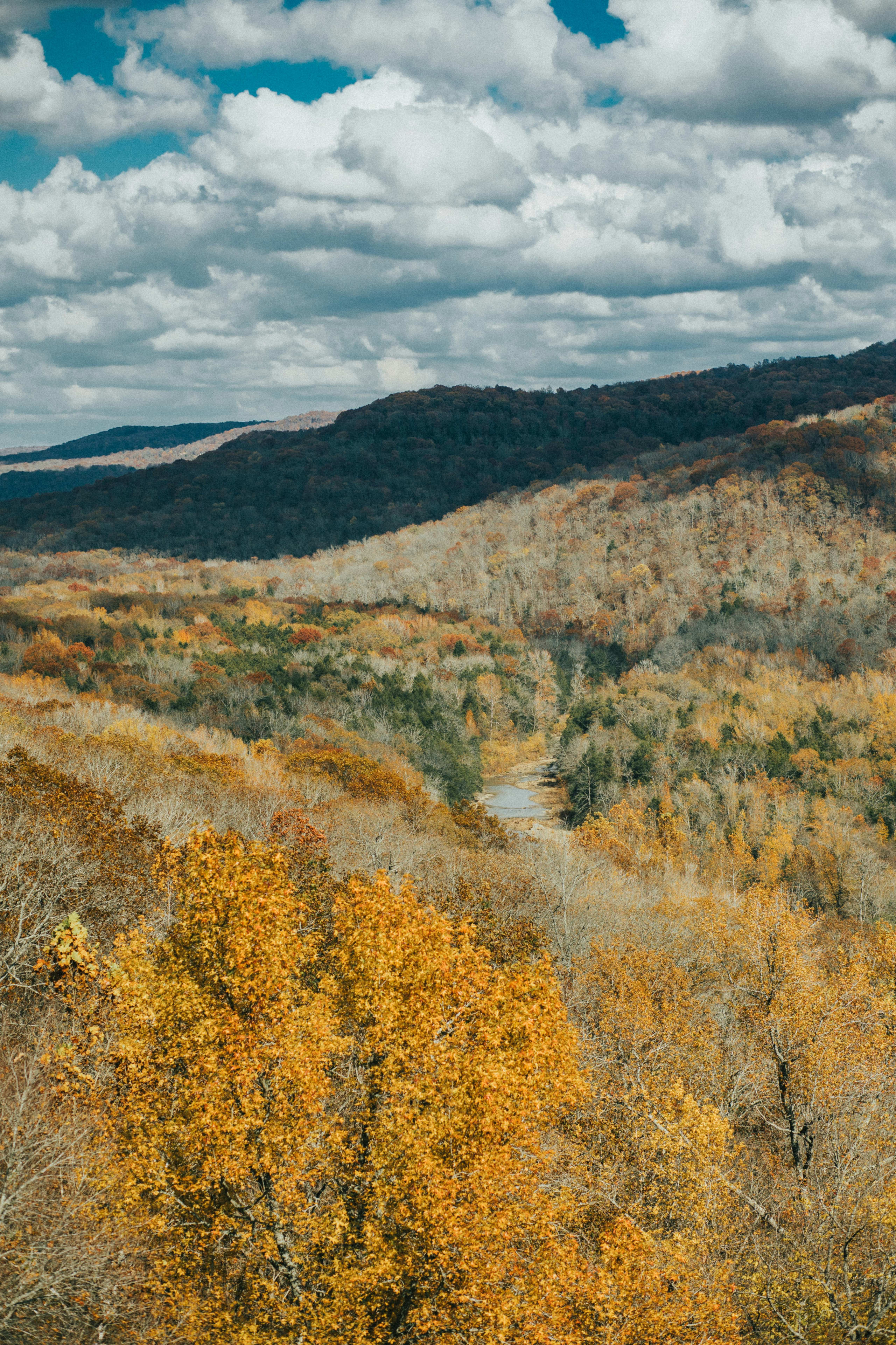 Arkansas scenery representing the local roots of THB Studios