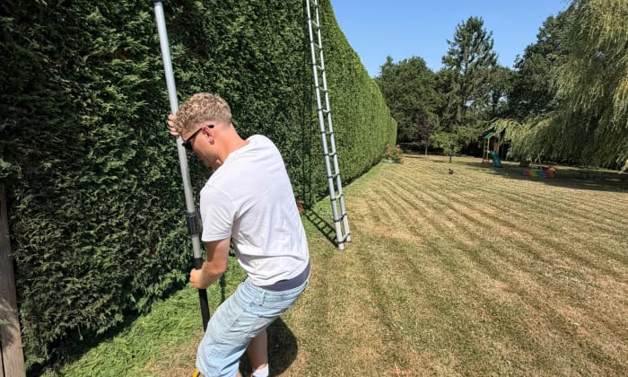 Hedge Trimming & Shaping