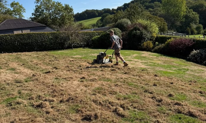 Lawn Renovation & Scarification